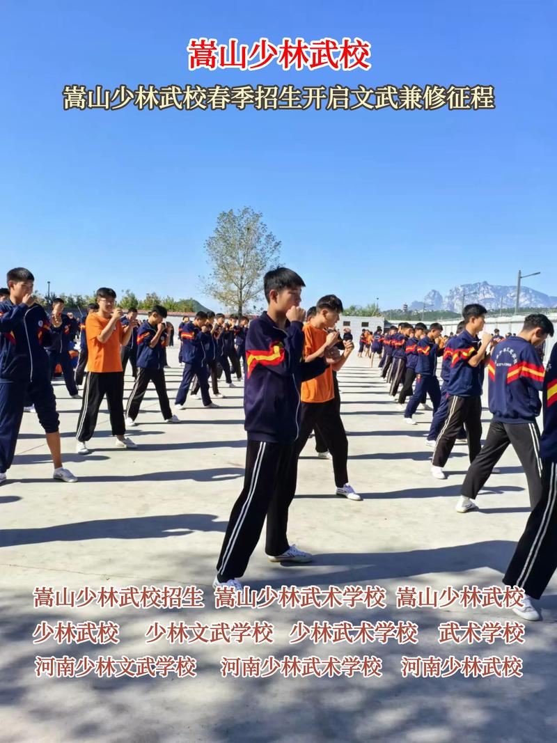 少林武校：传承与创新之间的艺术