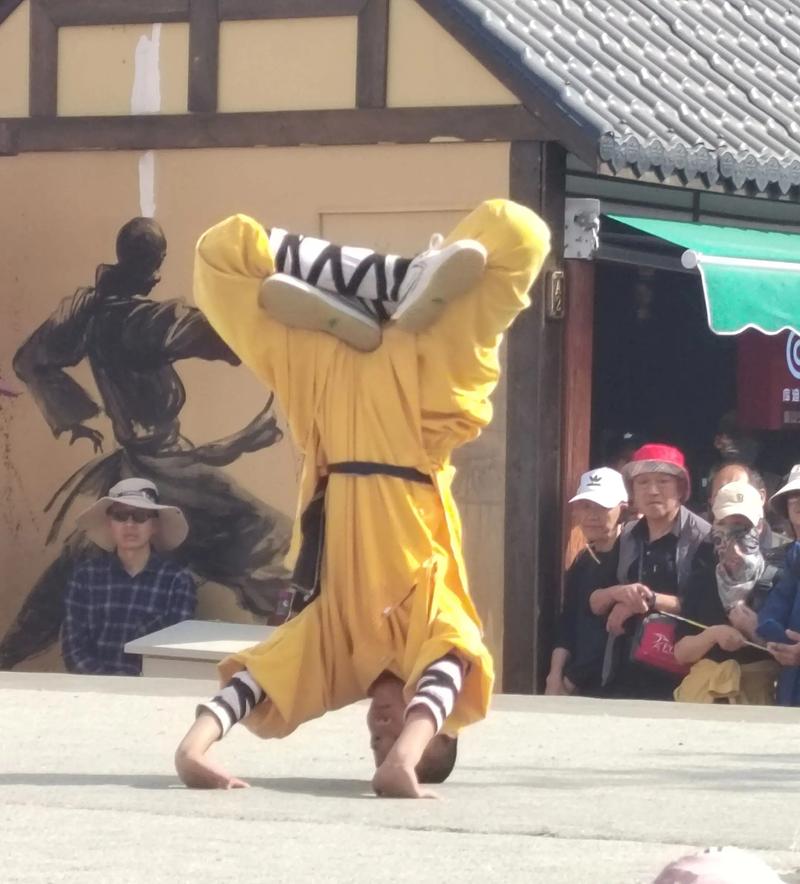 了解少林武校，武术传承从这里开始！
