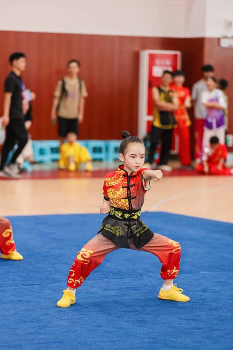 新手速成指南：如何选择优质散打搏击装备